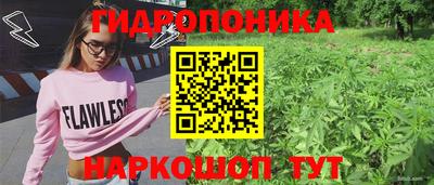МДПВ Лесосибирск