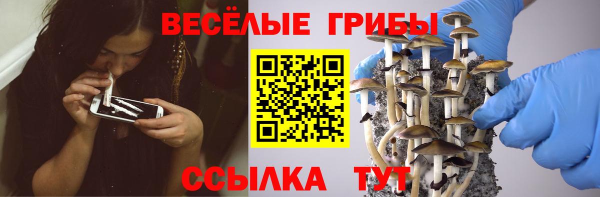 Галлюциногенные грибы прущие грибы Камень-на-Оби